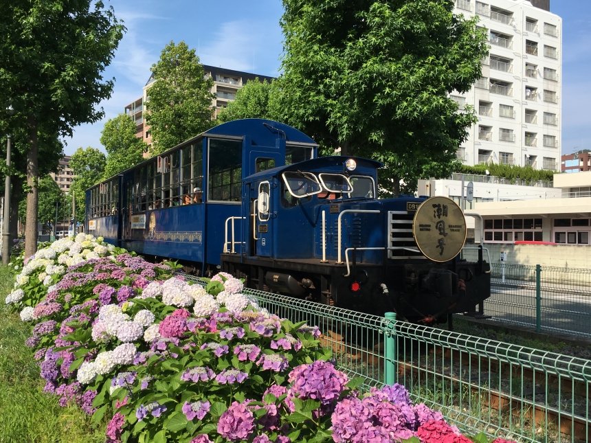 🚂 바닷바람호 (시오카제고) 이미지 8